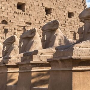 Egypt Tour Packages 12 Days budget tour Cairo , Nile Cruise and Hurghada