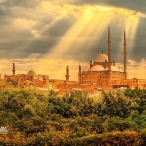 Egypt Tour Packages 14 days Cairo, Oases , Desert and Alexandria