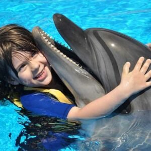 Egypt Tour Packages Dolphin Show in Hurghada