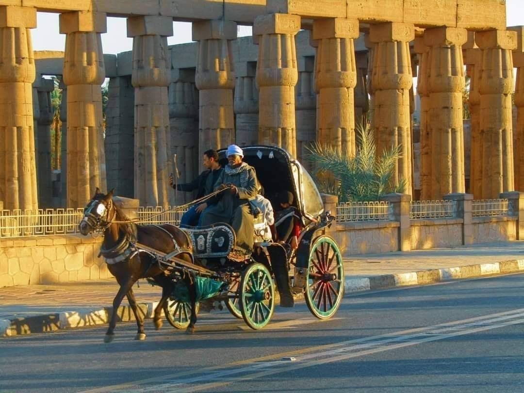 Luxor Temple illuminated at night along the Nile River