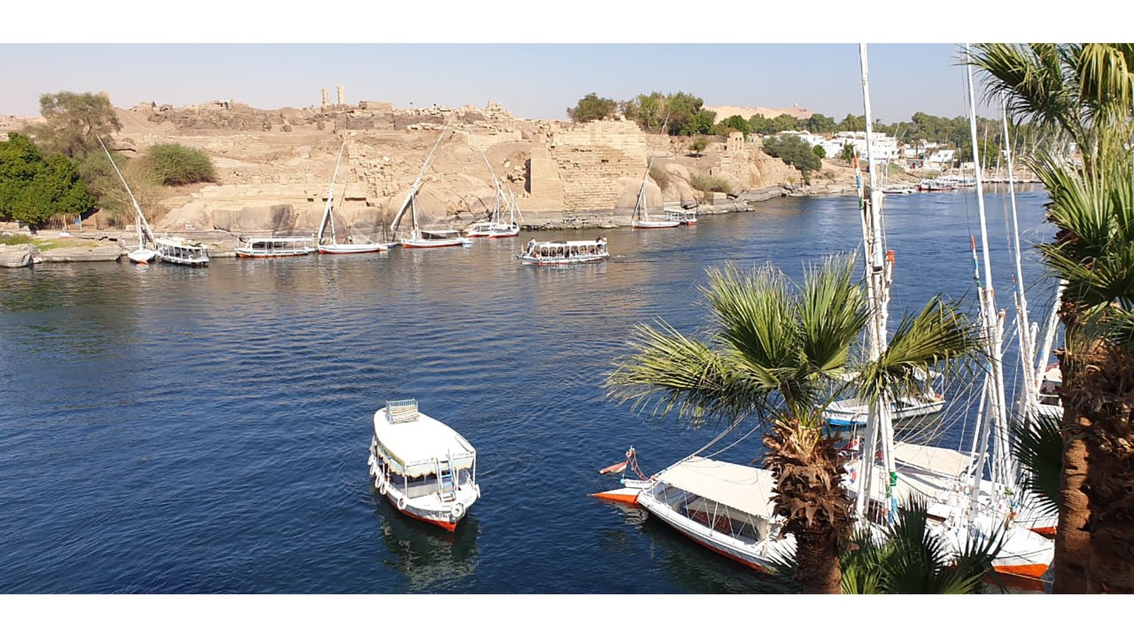 Aswan Nile