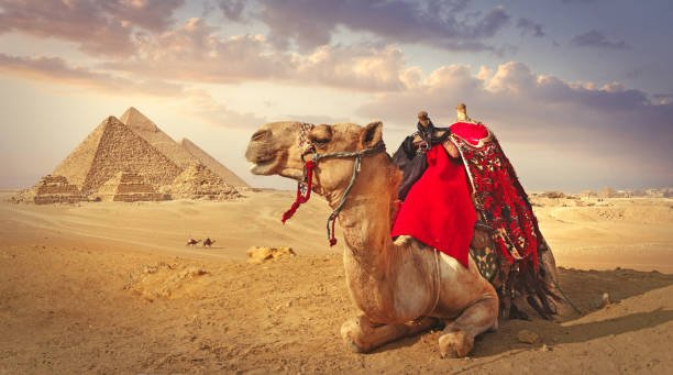 Stand before the iconic Giza Pyramids and the Great Sphinx