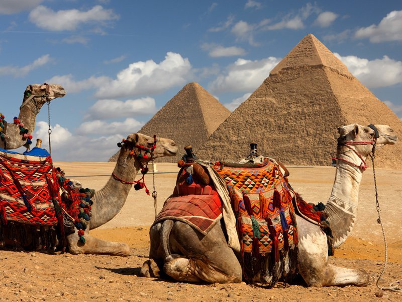 “Tourists visiting the Pyramids of Giza during a 4-day budget Egypt tour from Cairo to Aswan.”