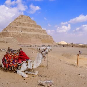 Saqqara Step Pyramid and Grand Egyptian Museum Cairo day tour