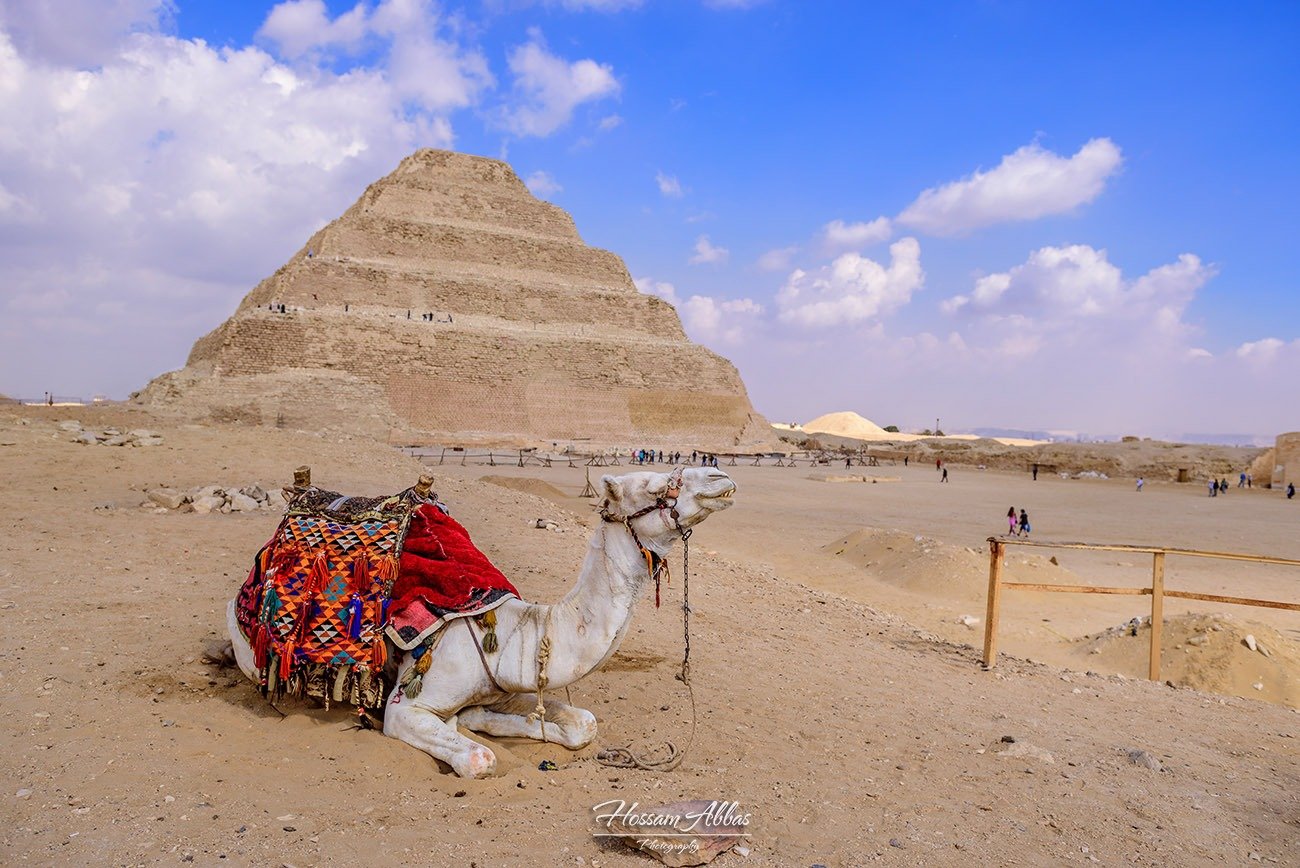 Saqqara Step Pyramid and Grand Egyptian Museum Cairo day tour