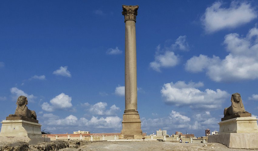 All rights reserved to Ahmed Yousry Mahfouz. Please don't use these images for any purpose without notifying me for explicit permission.