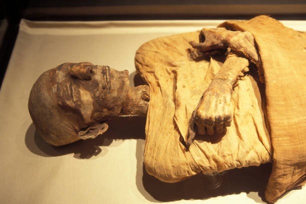 The National Museum of Egyptian Civilization presents Egypt’s history from prehistoric times to the modern era.