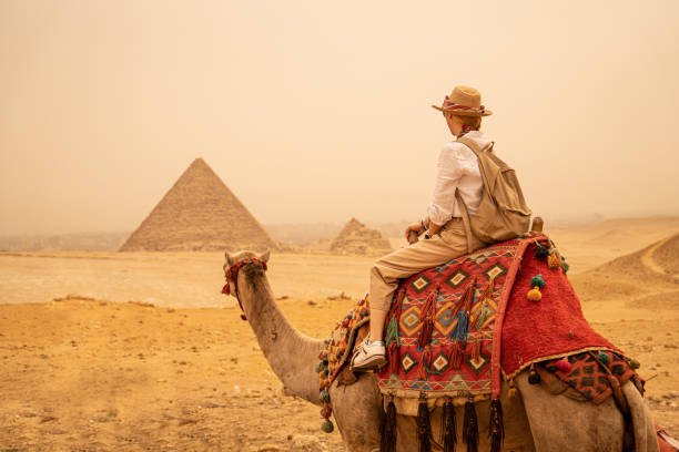 Camel ride experience with the Pyramids of Giza in the background