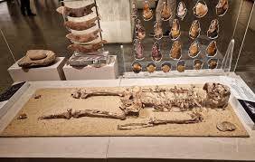 National Museum of Egyptian Civilization in Old Cairo